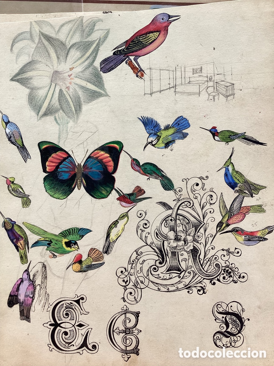 Arte: DIBUJOS DE ACADEMIA - Foto 22