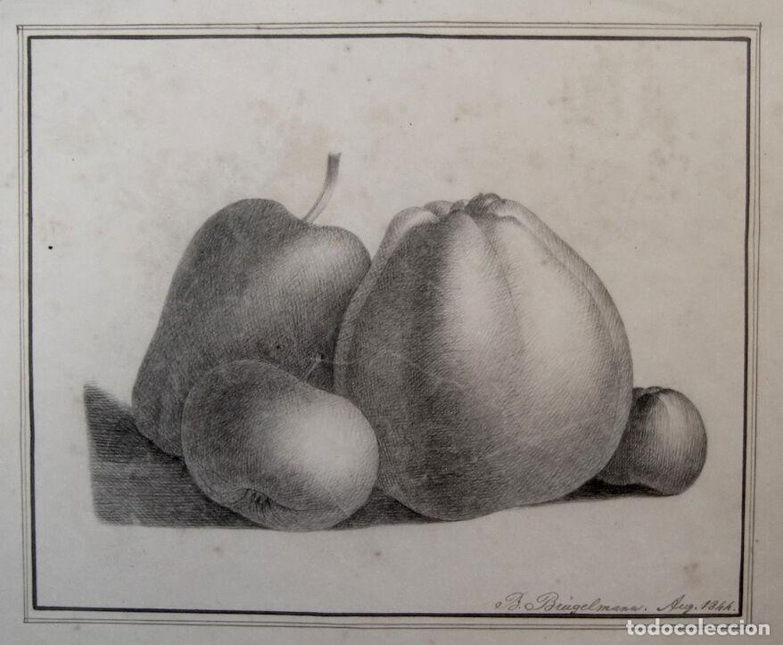 Arte: Bodeg&oacute;n con fruta de Br&uuml;gelmann 1844 - Foto 1