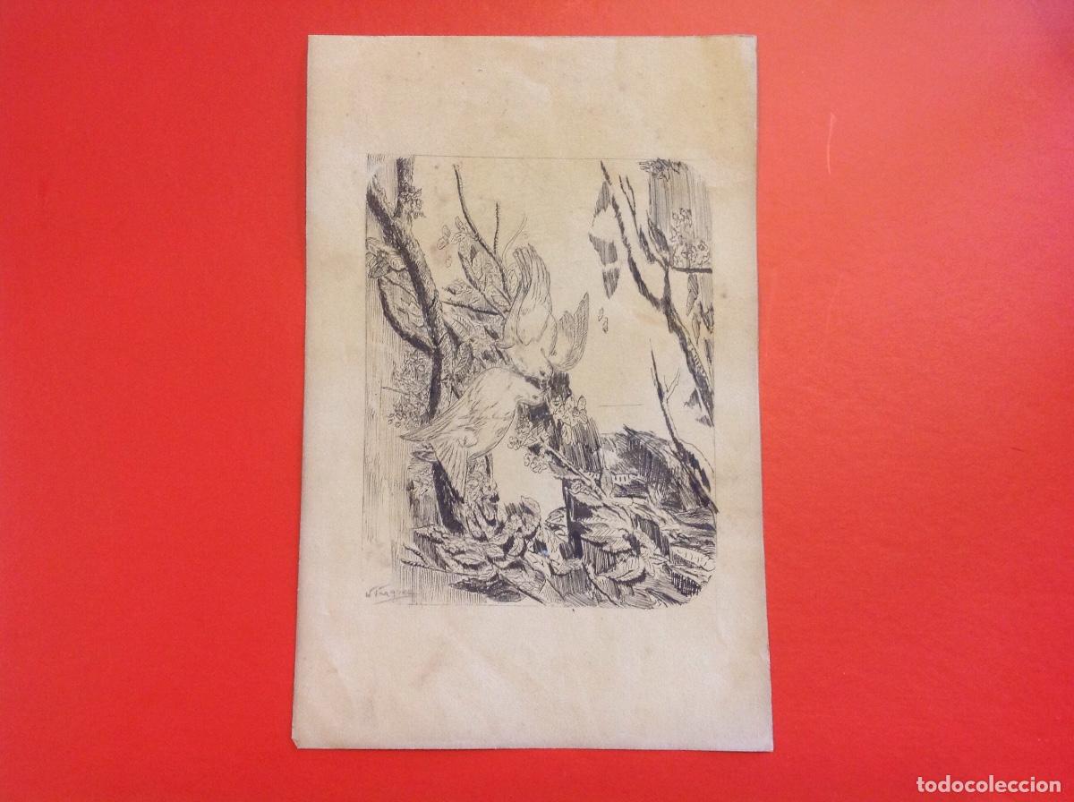 Arte: Narciso Vazquez. Palomas en el &aacute;rbol. - Foto 1