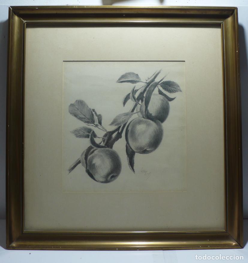 Arte: DIBUJO ORIGINAL A LAPICERO - Foto 1