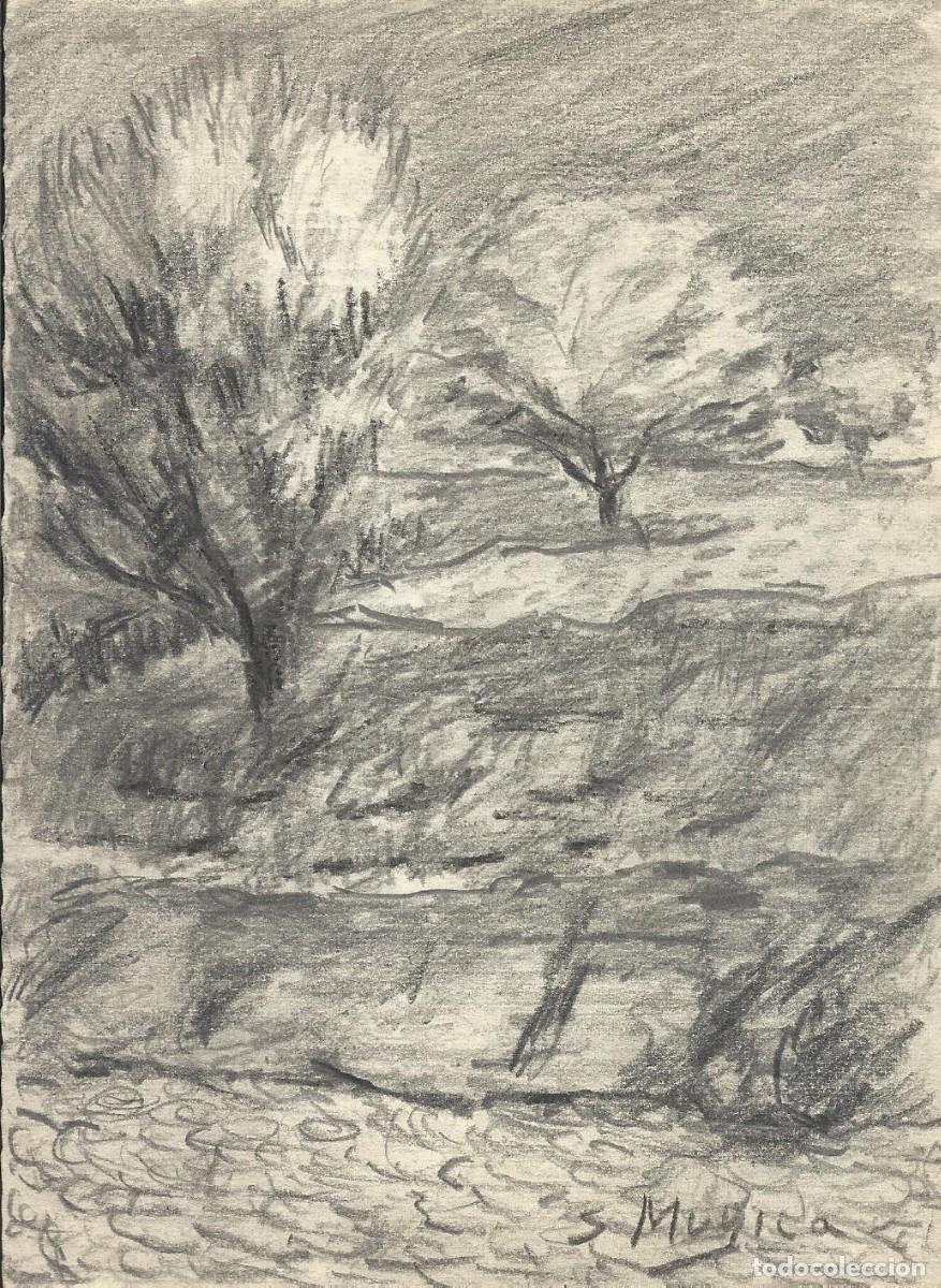 Arte: S. M&uacute;gica. Dibujo l&aacute;piz sobre papel. &rdquo;Paisaje rural con &aacute;rboles&rdquo;. Firmado a mano. 7x13 cm.