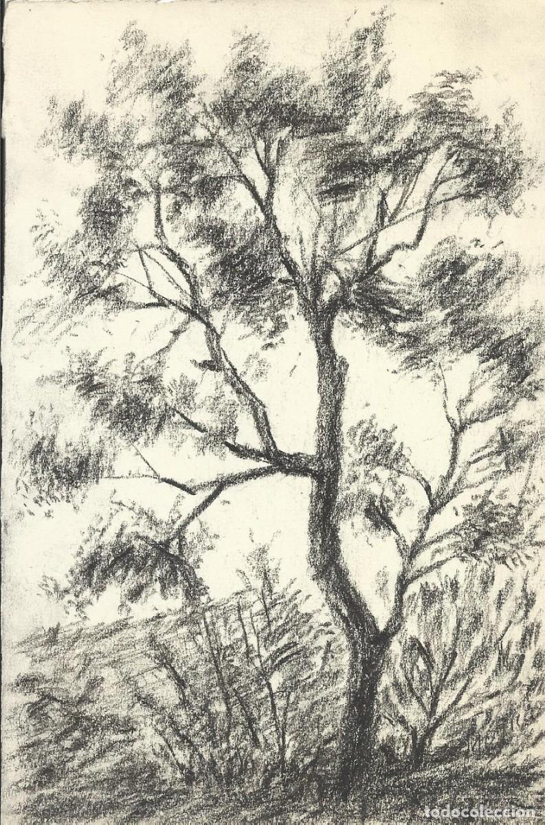 Arte: S. M&uacute;gica. Dibujo l&aacute;piz sobre papel. &rdquo;Un &aacute;rbol&rdquo;. Firmado a mano. 17x11,5 cm.