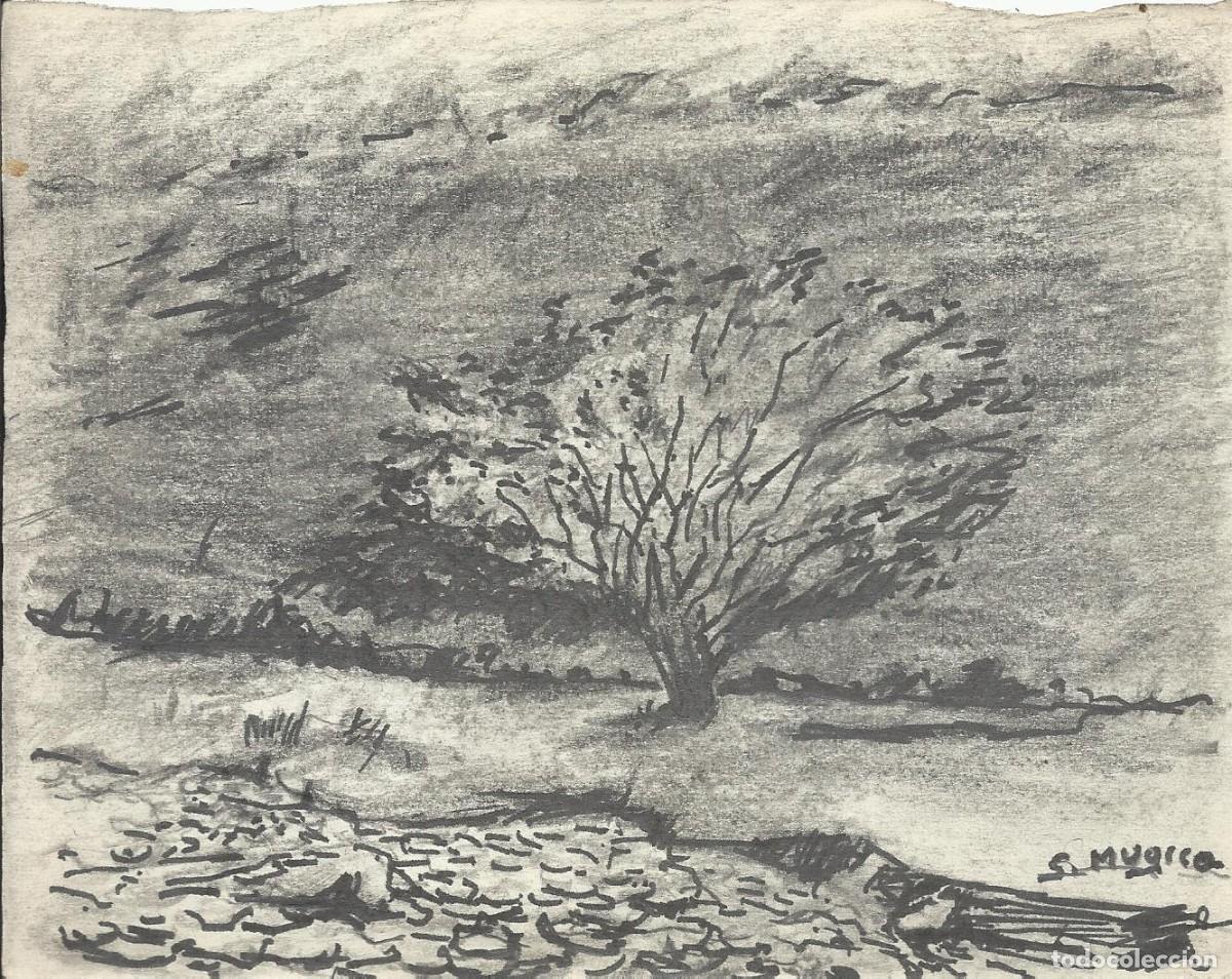 Arte: S. M&uacute;gica. Dibujo tinta sobre papel. &rdquo;&Aacute;rbol en zona rural&rdquo;. Firmado a mano. 13x17 cm.