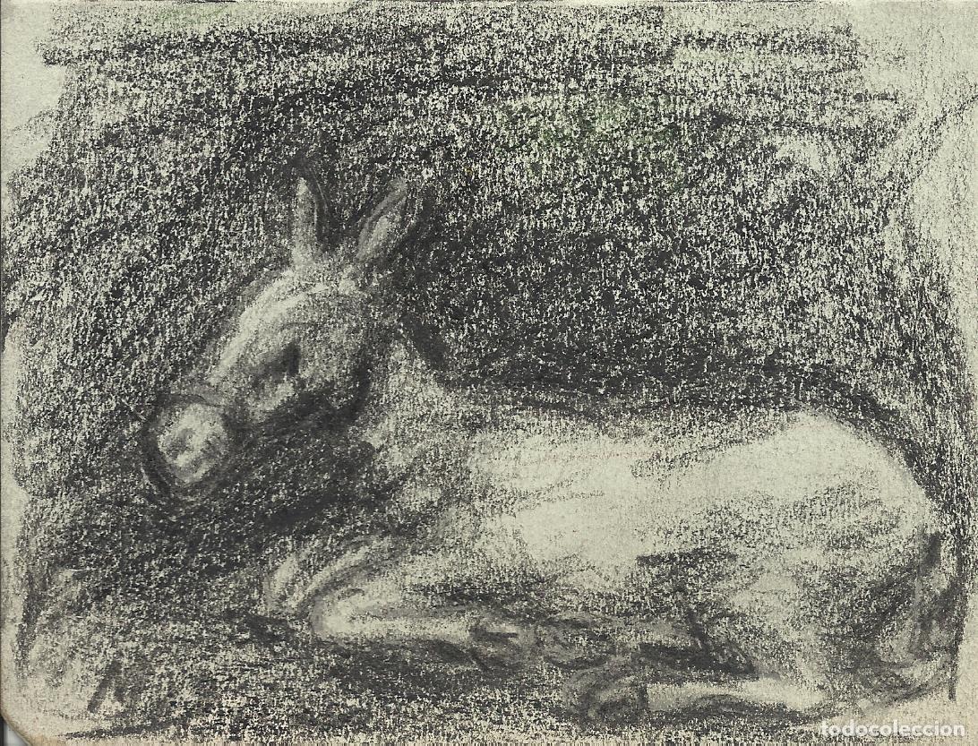 Art: S. M&uacute;gica. Dibujo l&aacute;piz sobre papel. &rdquo;Burro sentado&rdquo;. Firmado a mano. 10,5x14 cm.