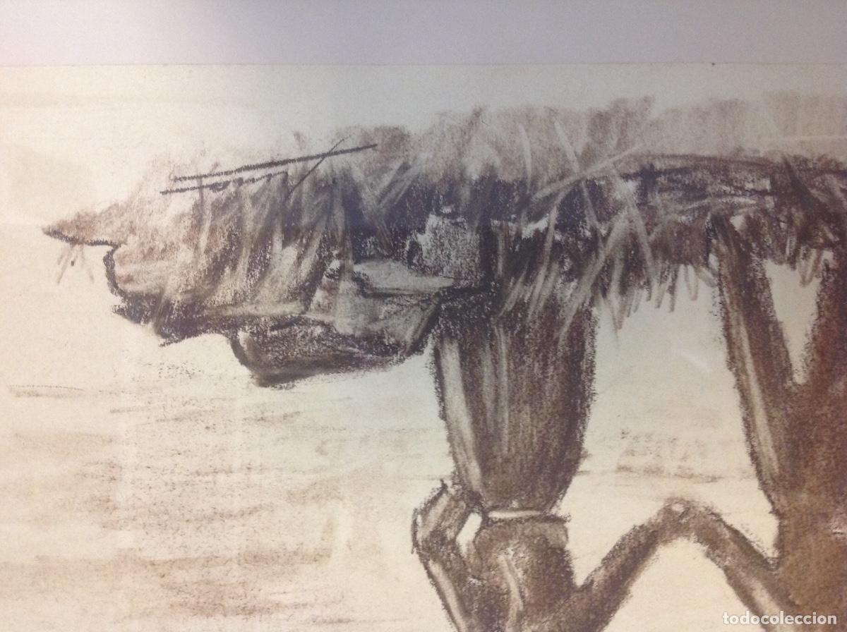 Arte: Dibujo a carboncillo - Foto 2
