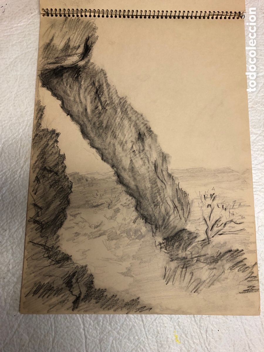 Arte: Bloc de dibujo con 14 dibujos - Foto 11