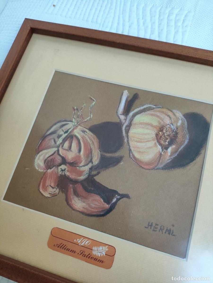 Arte: Cuadro representando plantas comunes - Foto 2