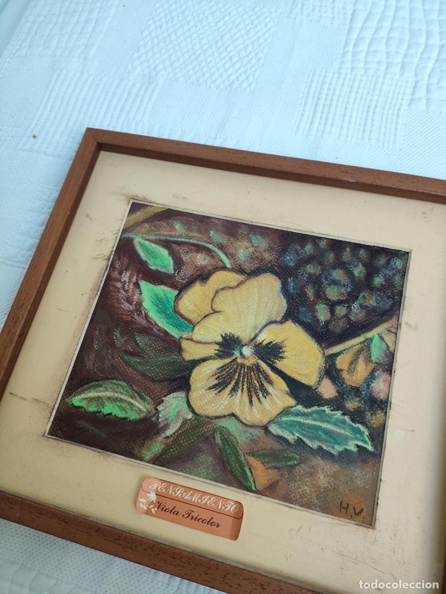 Arte: Cuadro representando plantas comunes - Foto 2