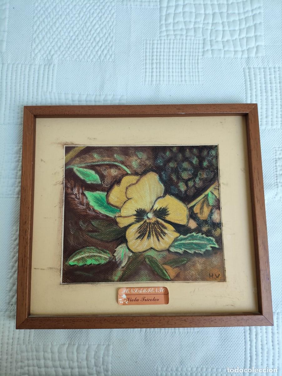 Arte: Cuadro representando plantas comunes - Foto 1