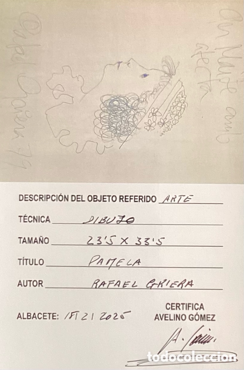Arte: &ldquo; PAMELA &ldquo; DE RAFAEL GRIERA - Foto 2