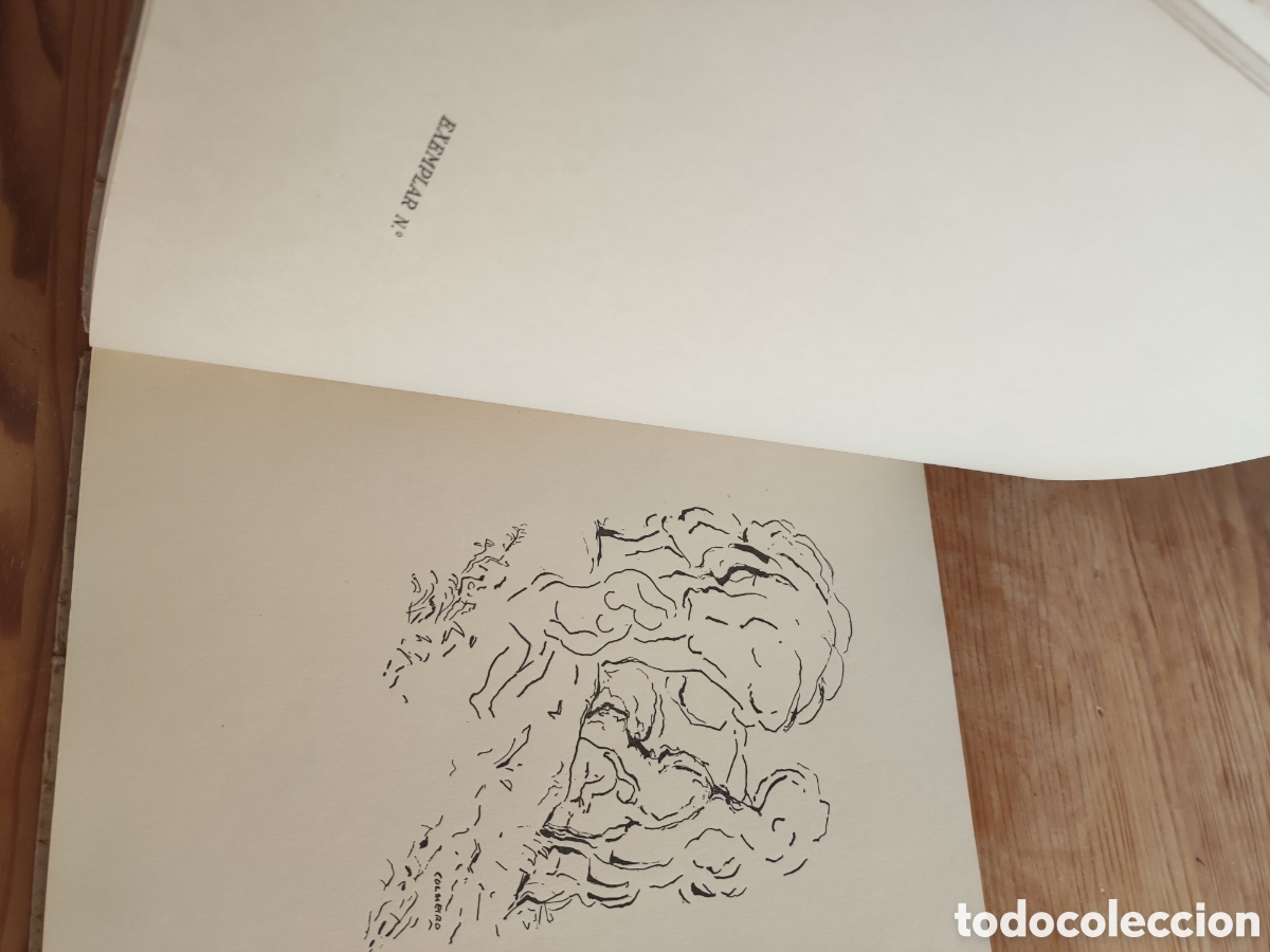 Arte: Dibujo de Manuel Colmeiro - Foto 4