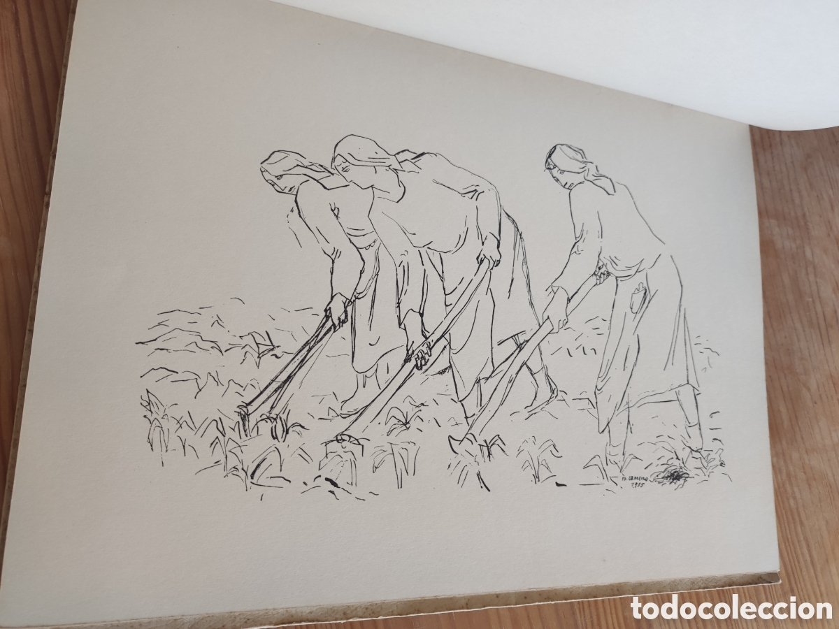 Arte: Dibujo de Manuel Colmeiro - Foto 5