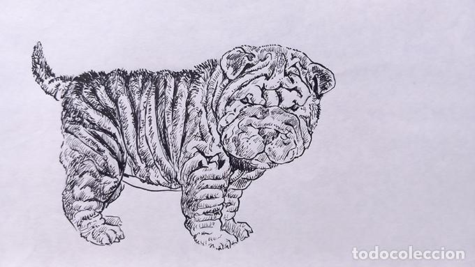 Arte: Mini Pei. Dibujo original a tinta - Foto 1