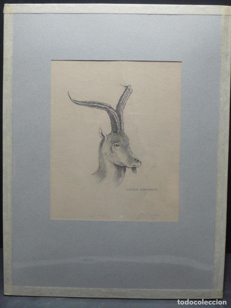 Arte: DIBUJO ORIGINAL A LAPICERO - Foto 1