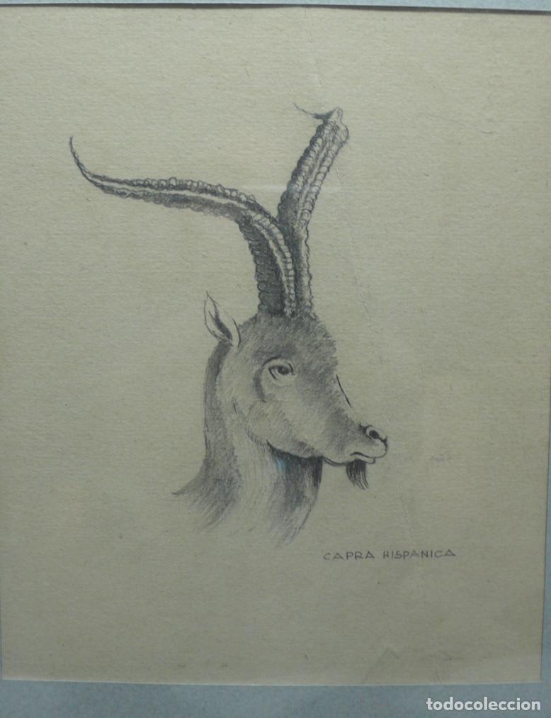 Arte: DIBUJO ORIGINAL A LAPICERO - Foto 2
