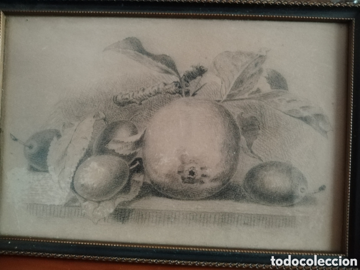 Arte: Precioso bodeg&oacute;n siglo XIX. - Foto 2