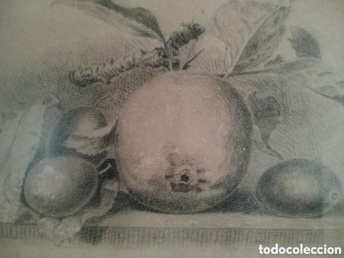 Arte: Precioso bodeg&oacute;n siglo XIX. - Foto 3