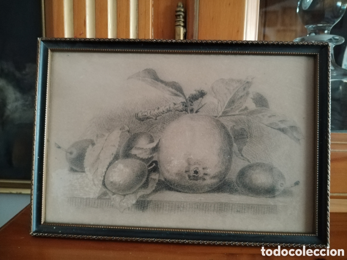 Arte: Precioso bodeg&oacute;n siglo XIX. - Foto 10