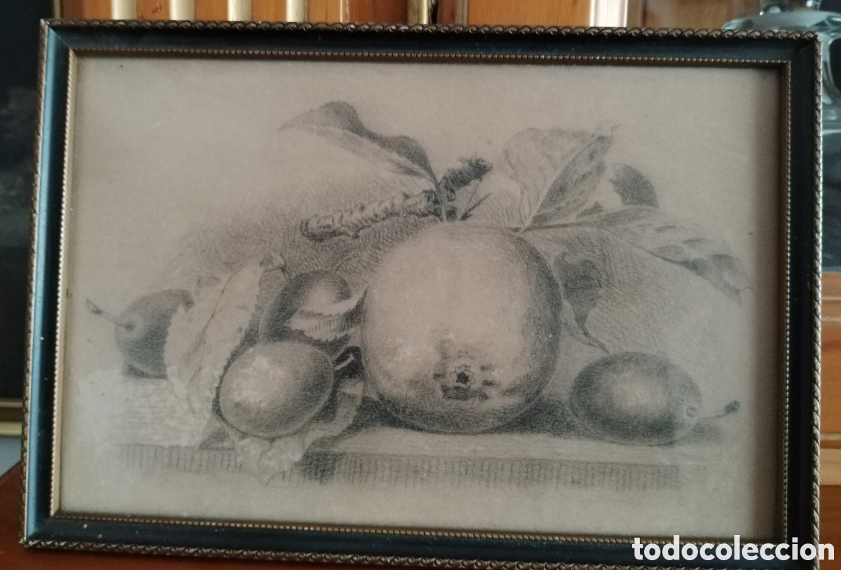 Arte: Precioso bodeg&oacute;n siglo XIX. - Foto 1