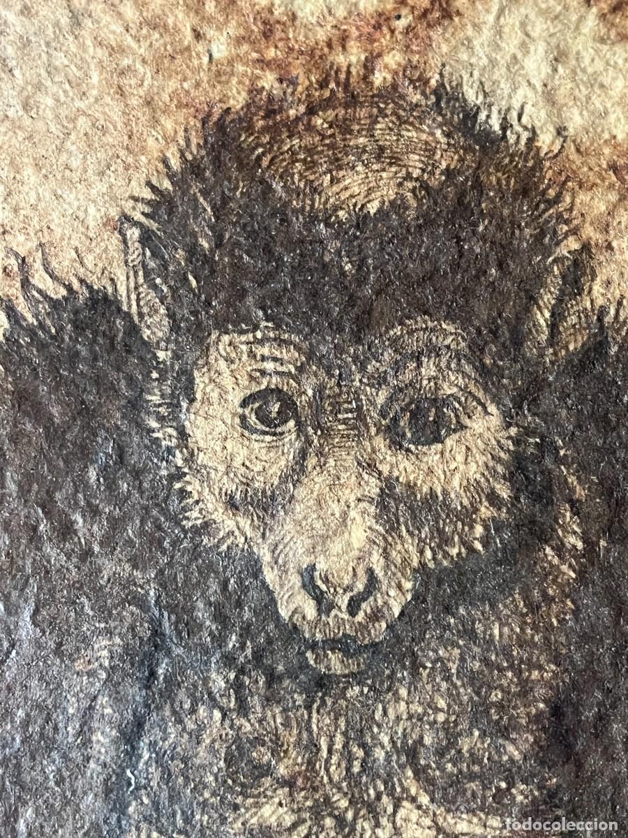 Arte: ESLABON PERDIDO PRIMATE 1 - Foto 1