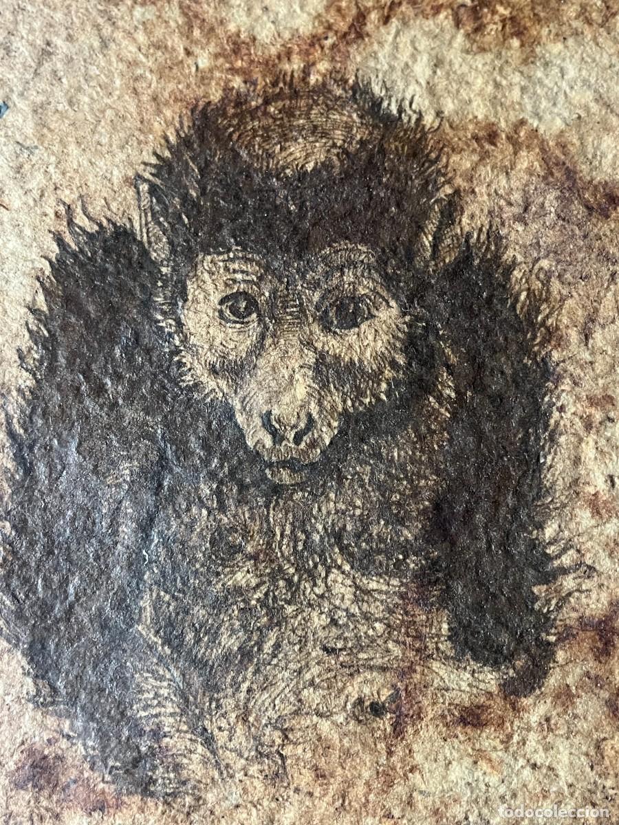 Arte: ESLABON PERDIDO PRIMATE 1 - Foto 2