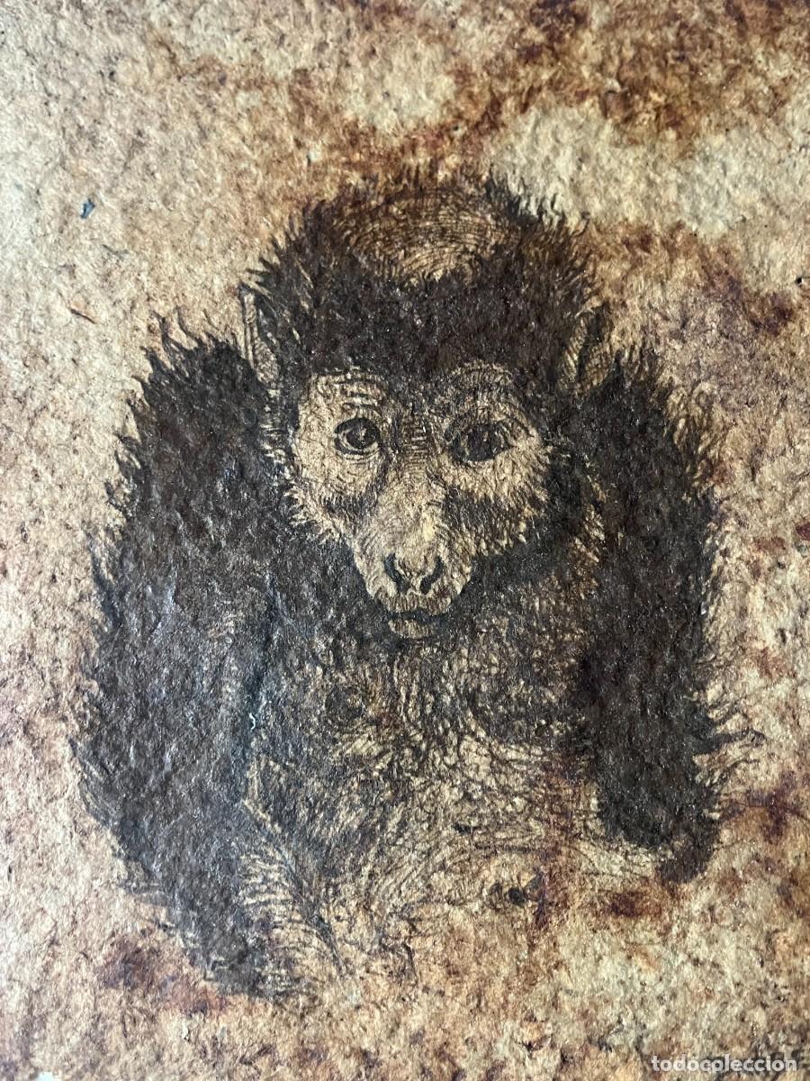 Arte: ESLABON PERDIDO PRIMATE 1 - Foto 3