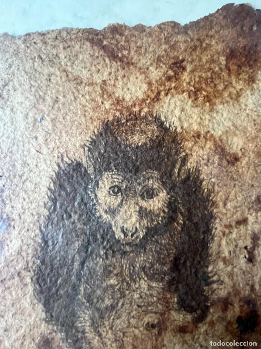 Arte: ESLABON PERDIDO PRIMATE 1 - Foto 4