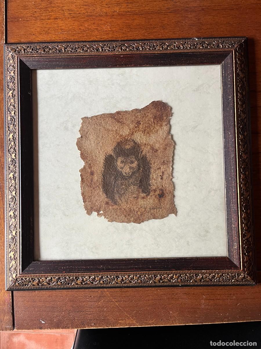 Arte: ESLABON PERDIDO PRIMATE 1 - Foto 8