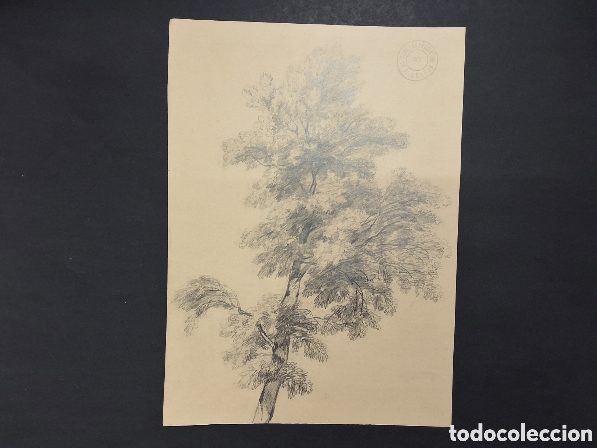 Arte: Joaquin Araujo. Arbol. - Foto 1
