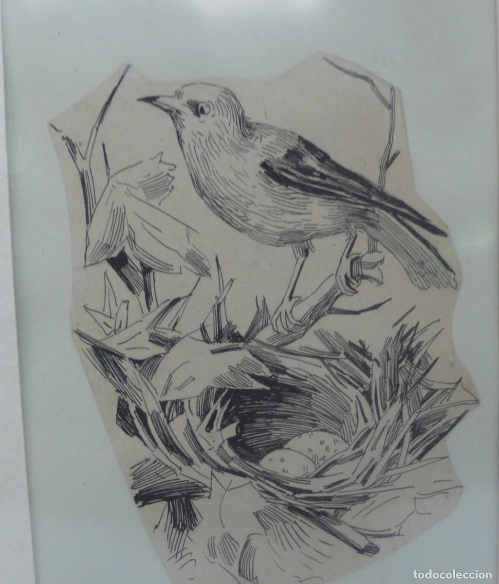 Arte: DIBUJO ORIGINAL A TINTA - Foto 4