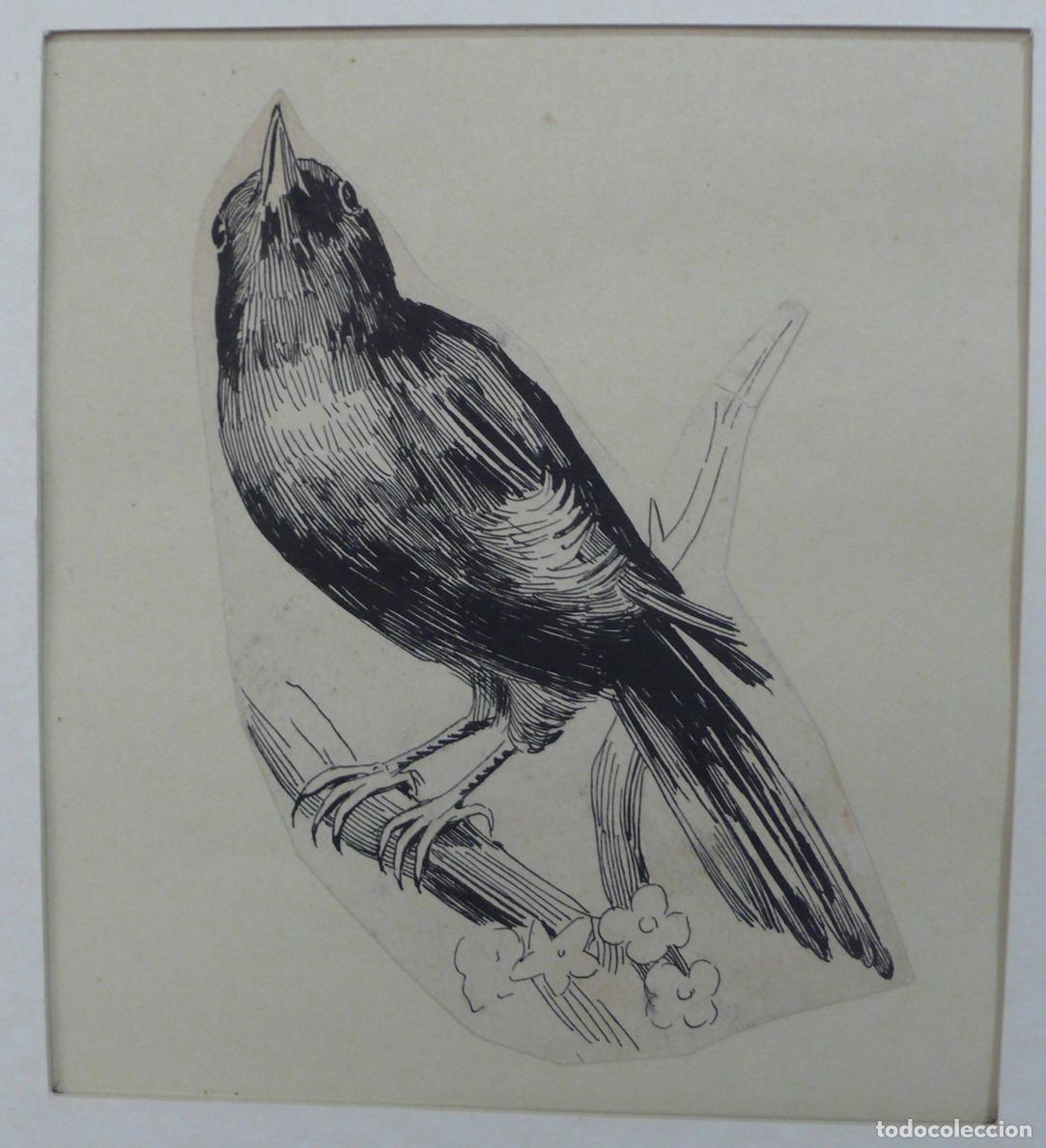 Arte: DIBUJO ORIGINAL A TINTA - Foto 2