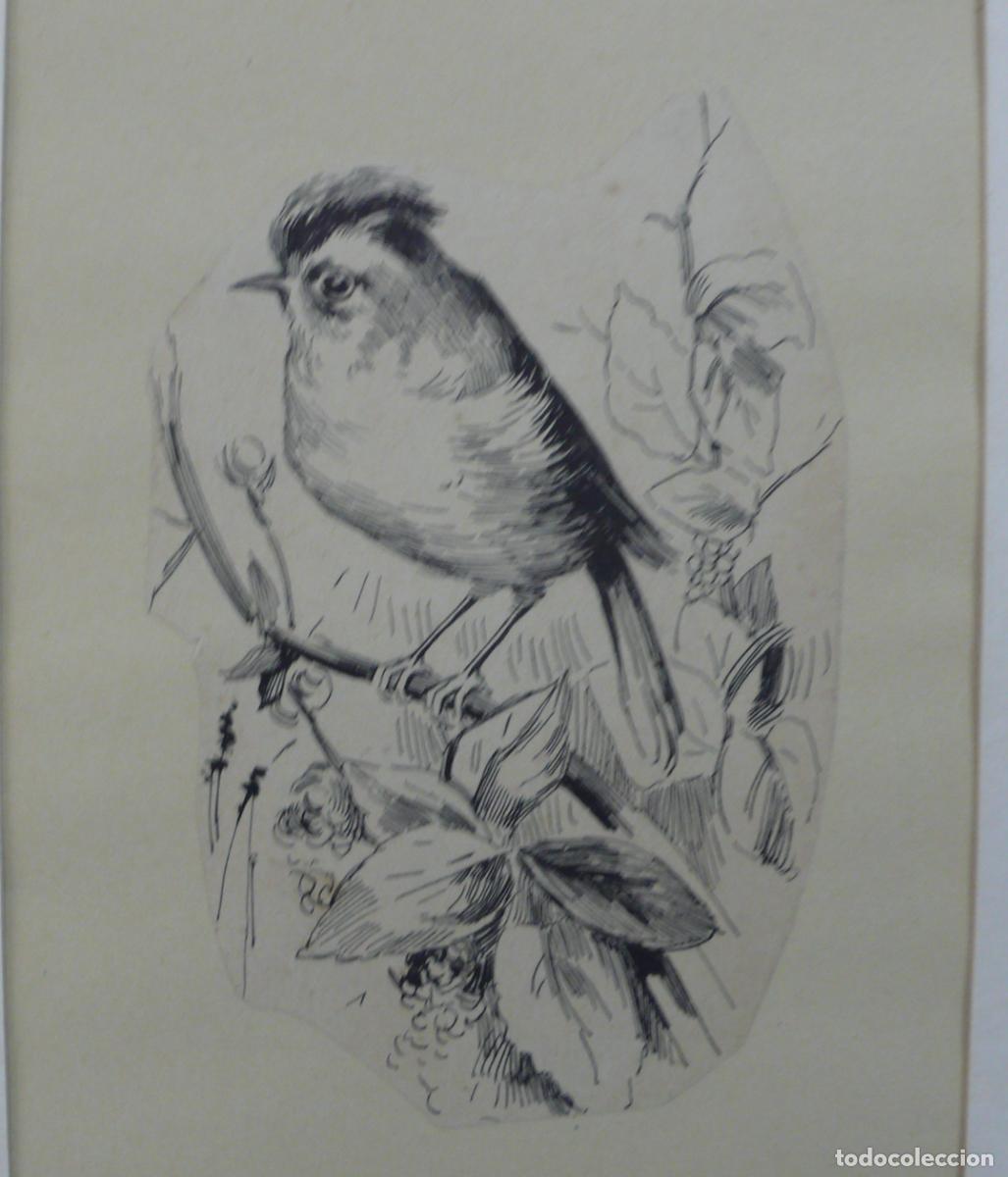 Arte: DIBUJO ORIGINAL A TINTA - Foto 3