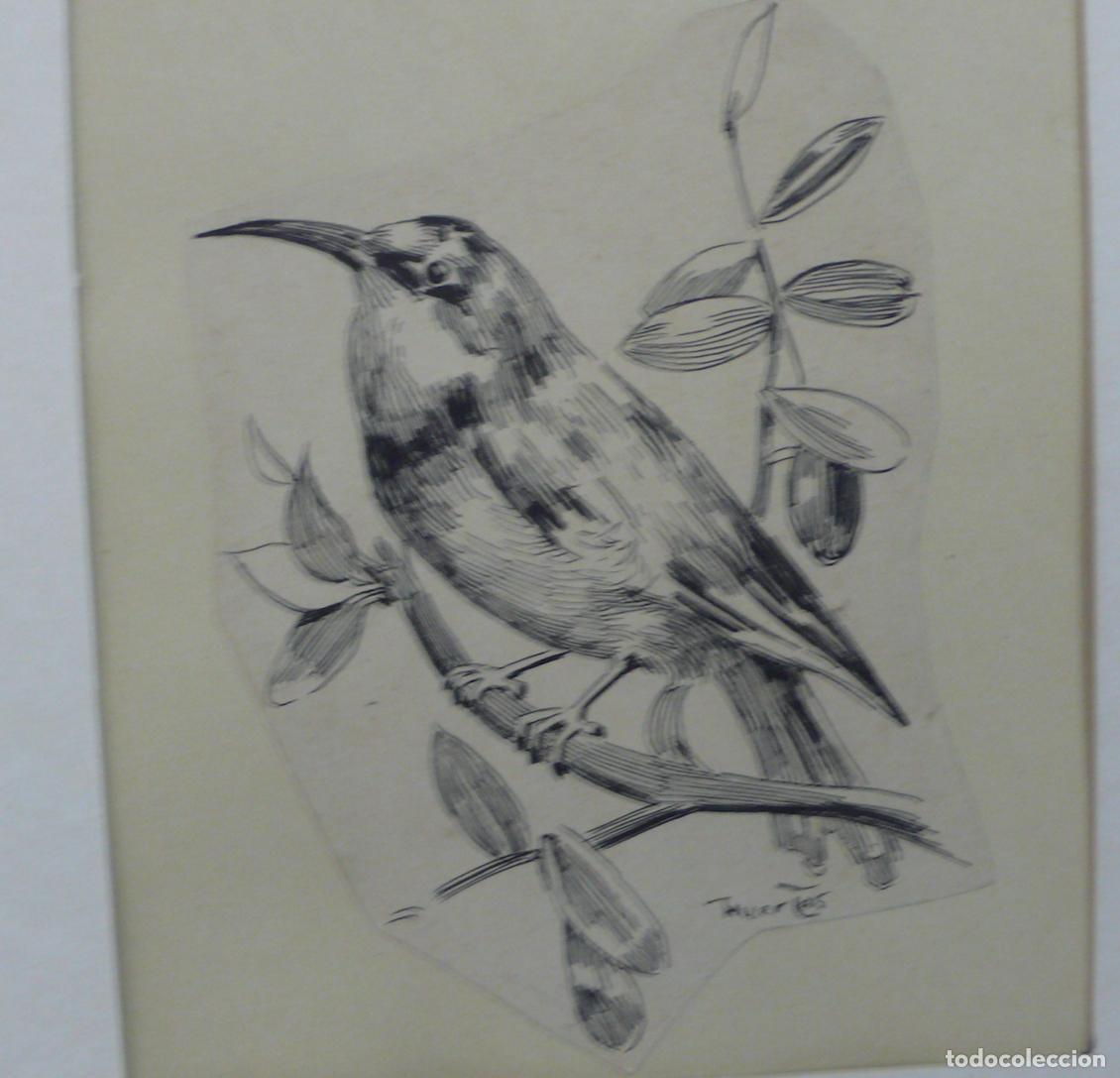 Arte: DIBUJO ORIGINAL A TINTA - Foto 4