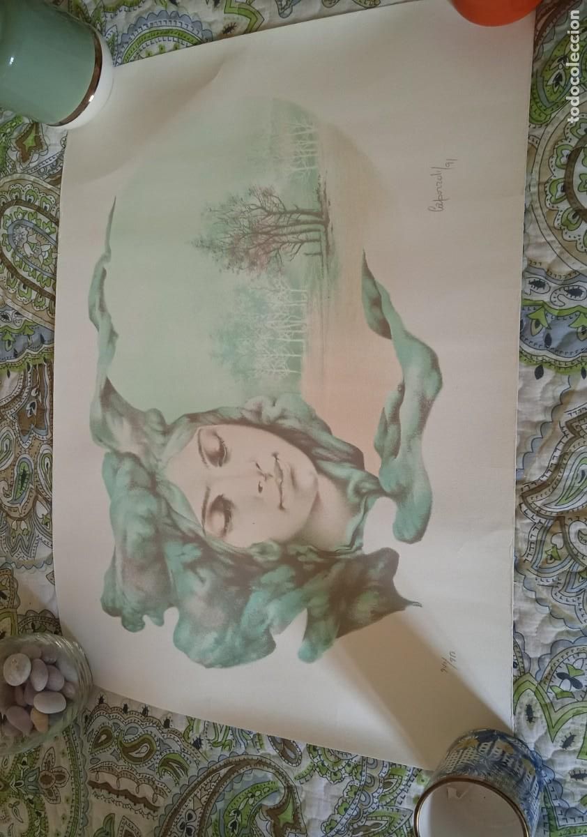 Arte: L&Agrave;MINAS ORIGINALES LAS 4 ESTACIONES - Foto 1