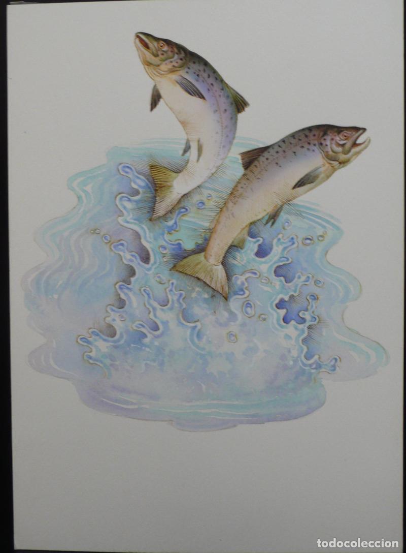 Arte: DIBUJO ORIGINAL ACUARELA - Foto 1