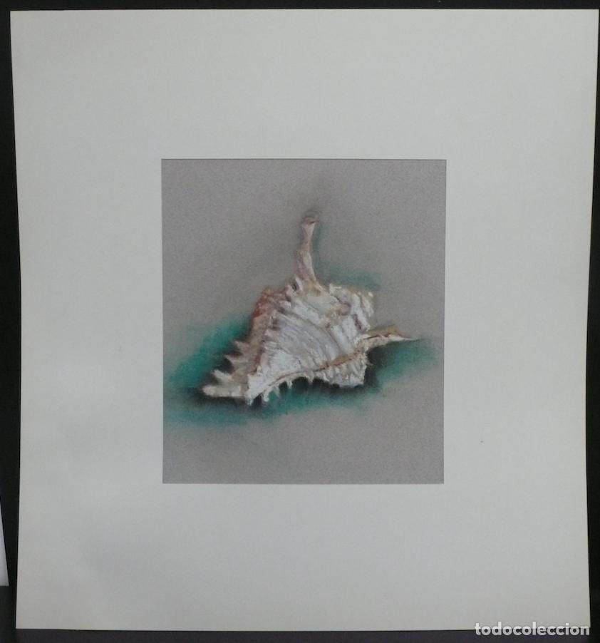 Arte: DIBUJO ORIGINAL A TIZAS - Foto 1
