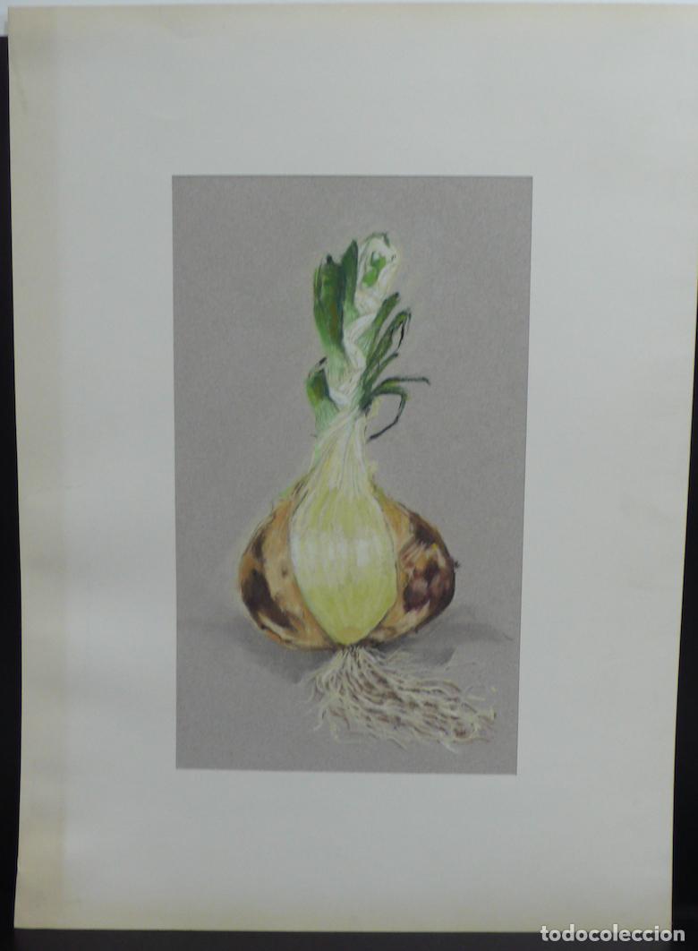 Arte: DIBUJO ORIGINAL A TIZAS - Foto 1