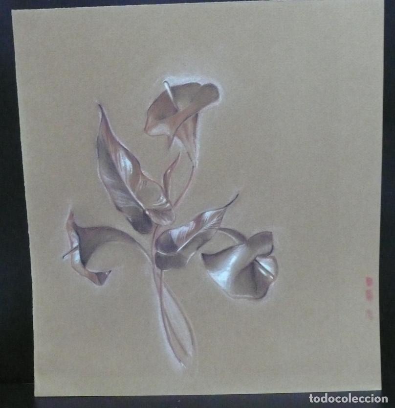 Arte: DIBUJO ORIGINAL A TIZAS - Foto 1