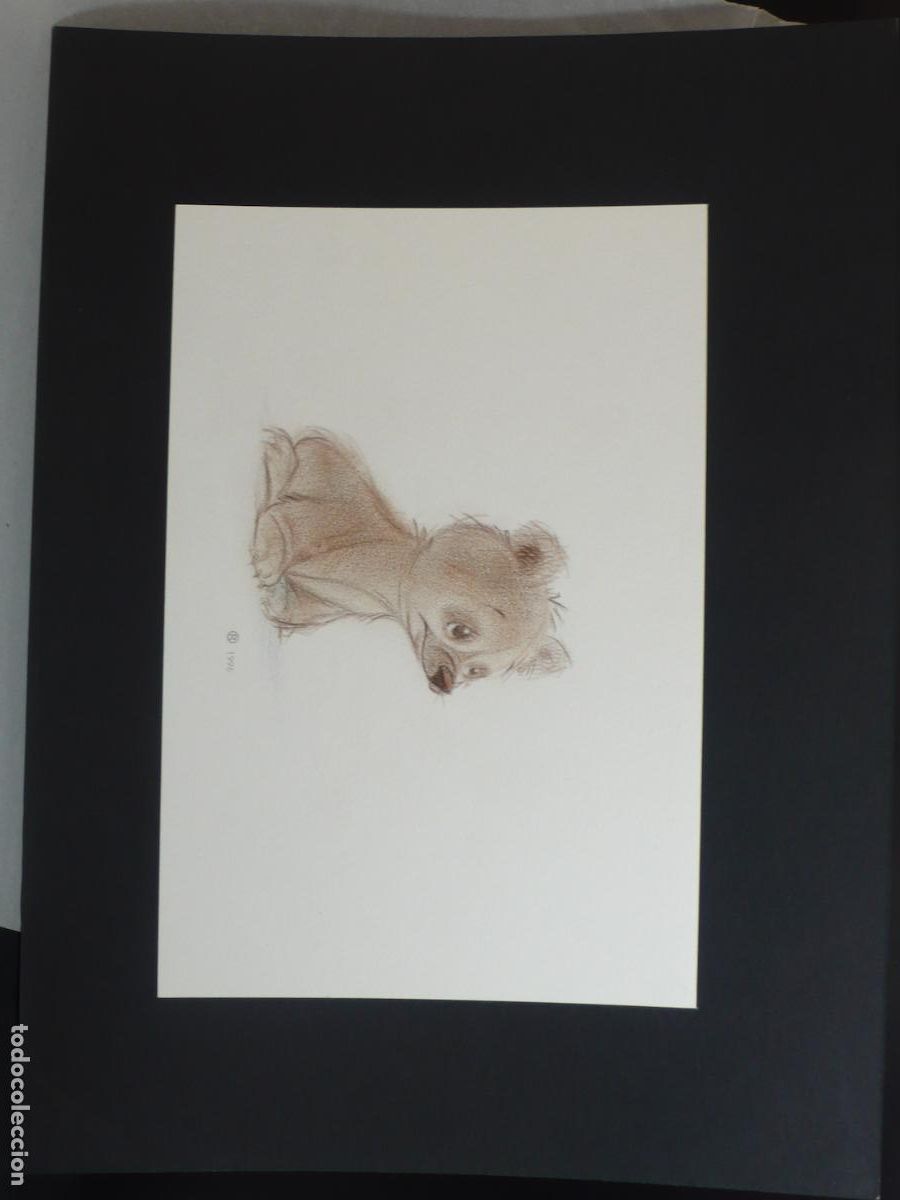 Arte: DIBUJO ORIGINAL A LAPICERO - Foto 1