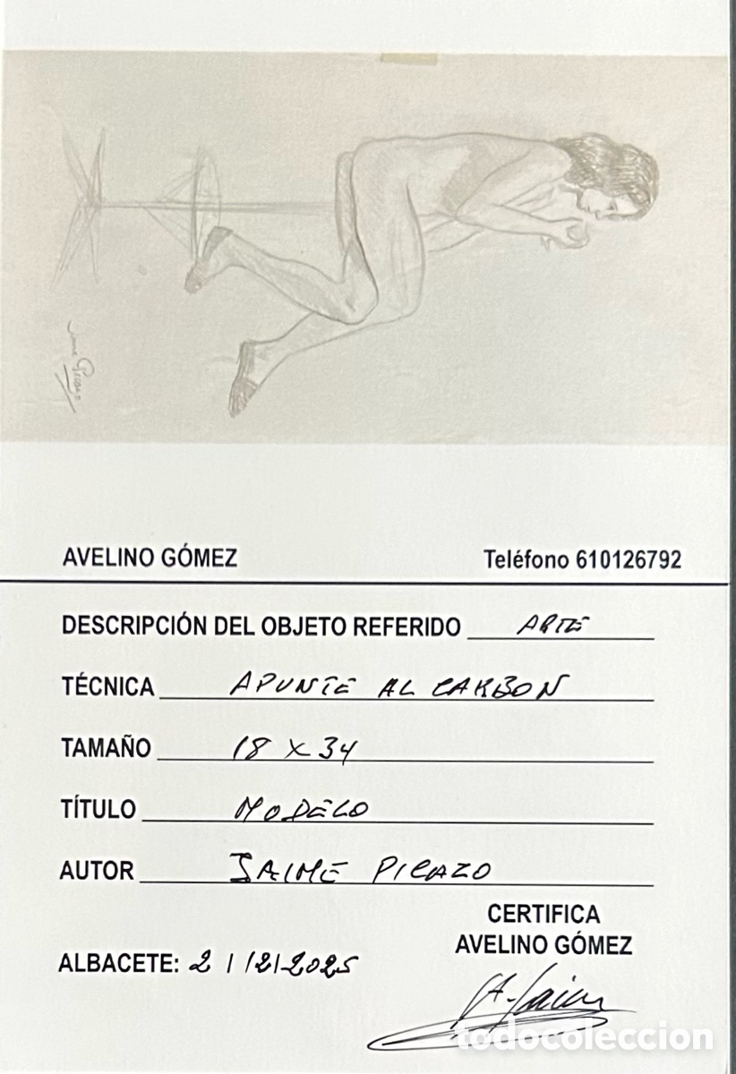 Arte: MODELO DE JAIME PICAZO - Foto 2