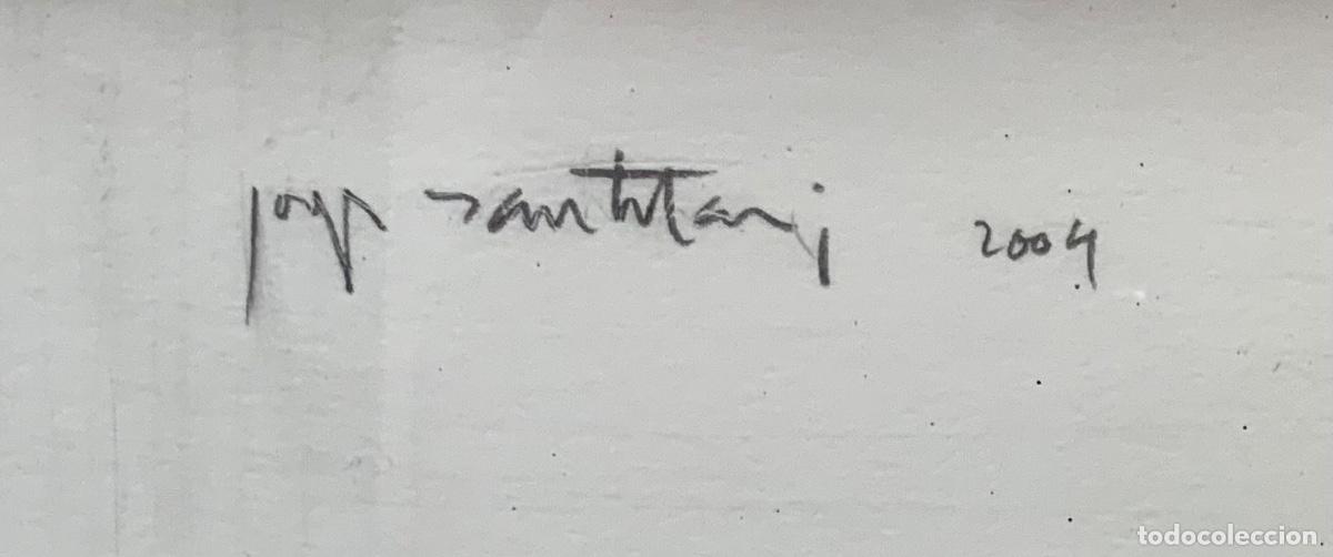 Arte: Josep Santhilari 2004 - Foto 3