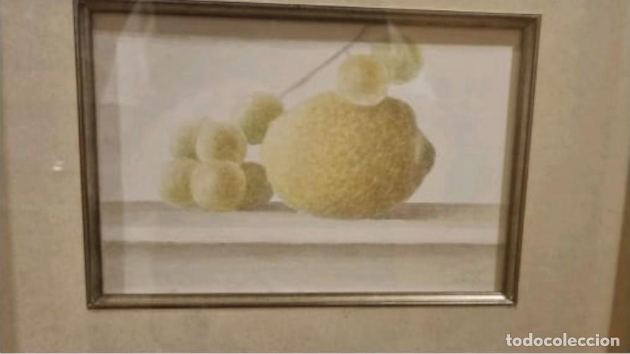 Arte: Bodeg&oacute;n Xavier Valls - Foto 1