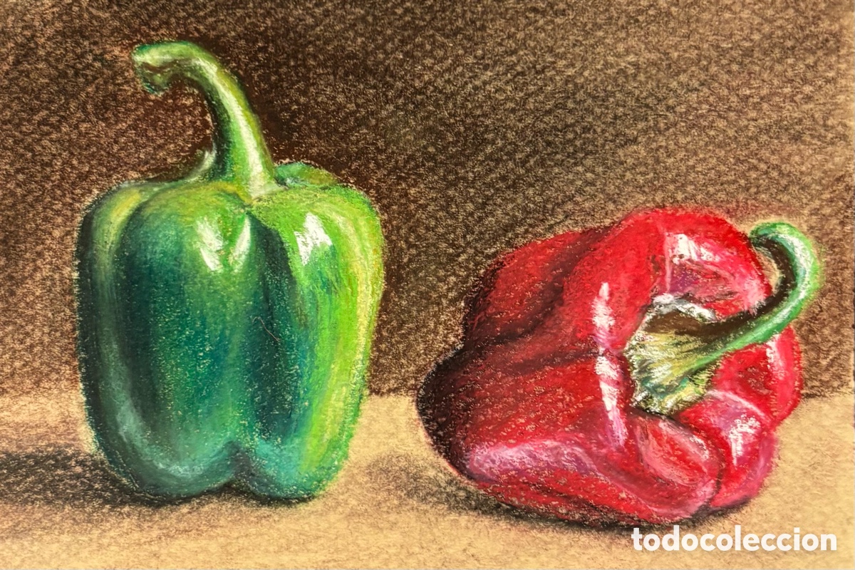 Arte: L&aacute;minas pastel y l&aacute;piz. - Foto 12
