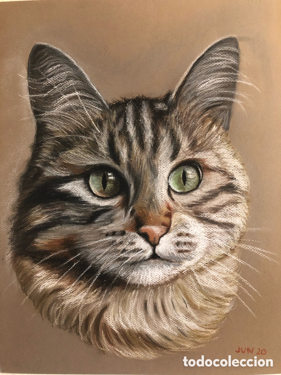 Arte: L&aacute;minas pastel y l&aacute;piz. - Foto 15