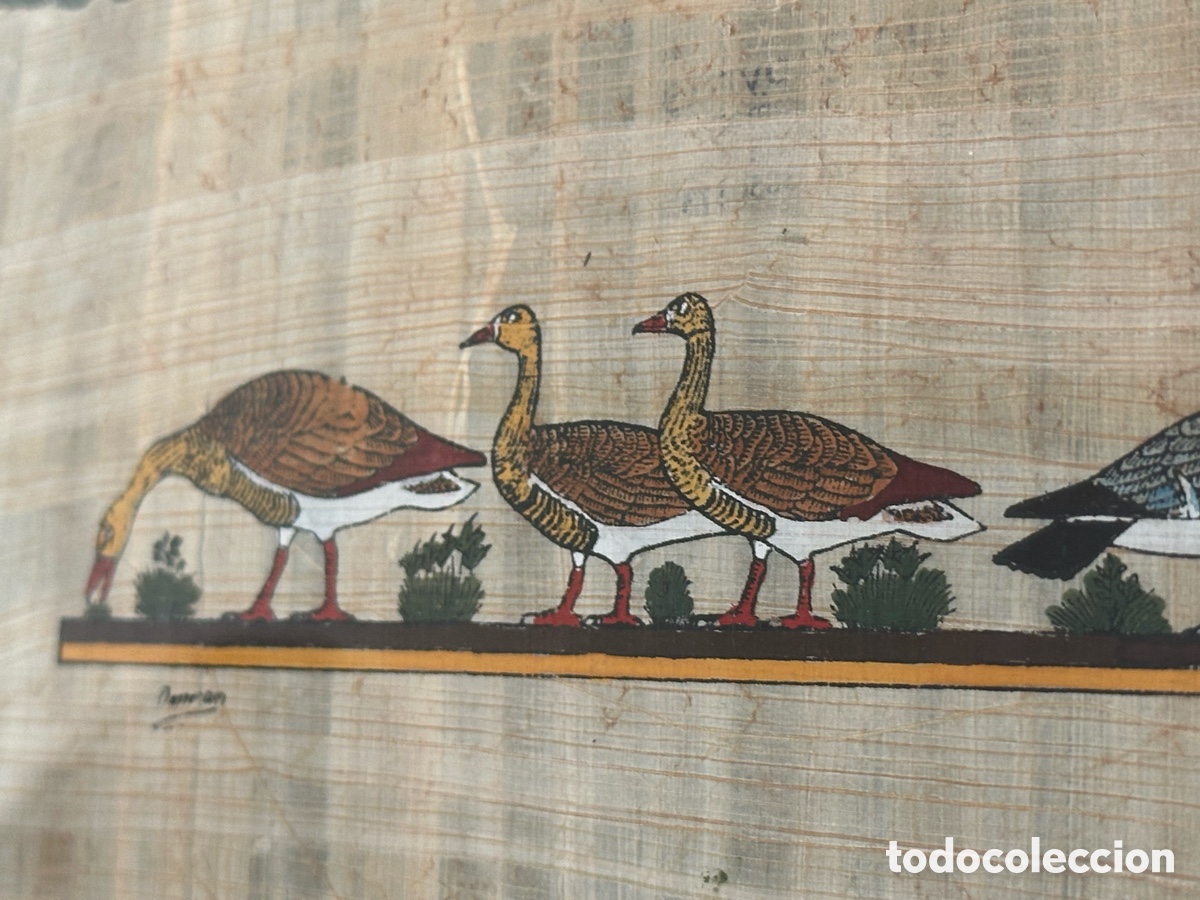 Arte: Cuadro papiro Egipto enmarcado - Foto 1