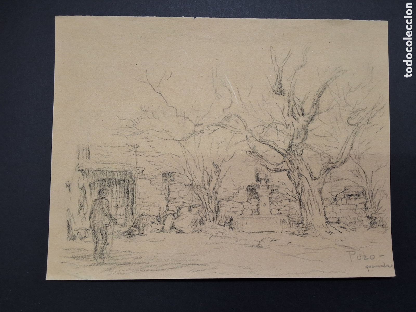 Art: Juli&aacute;n del Pozo. La fuente.