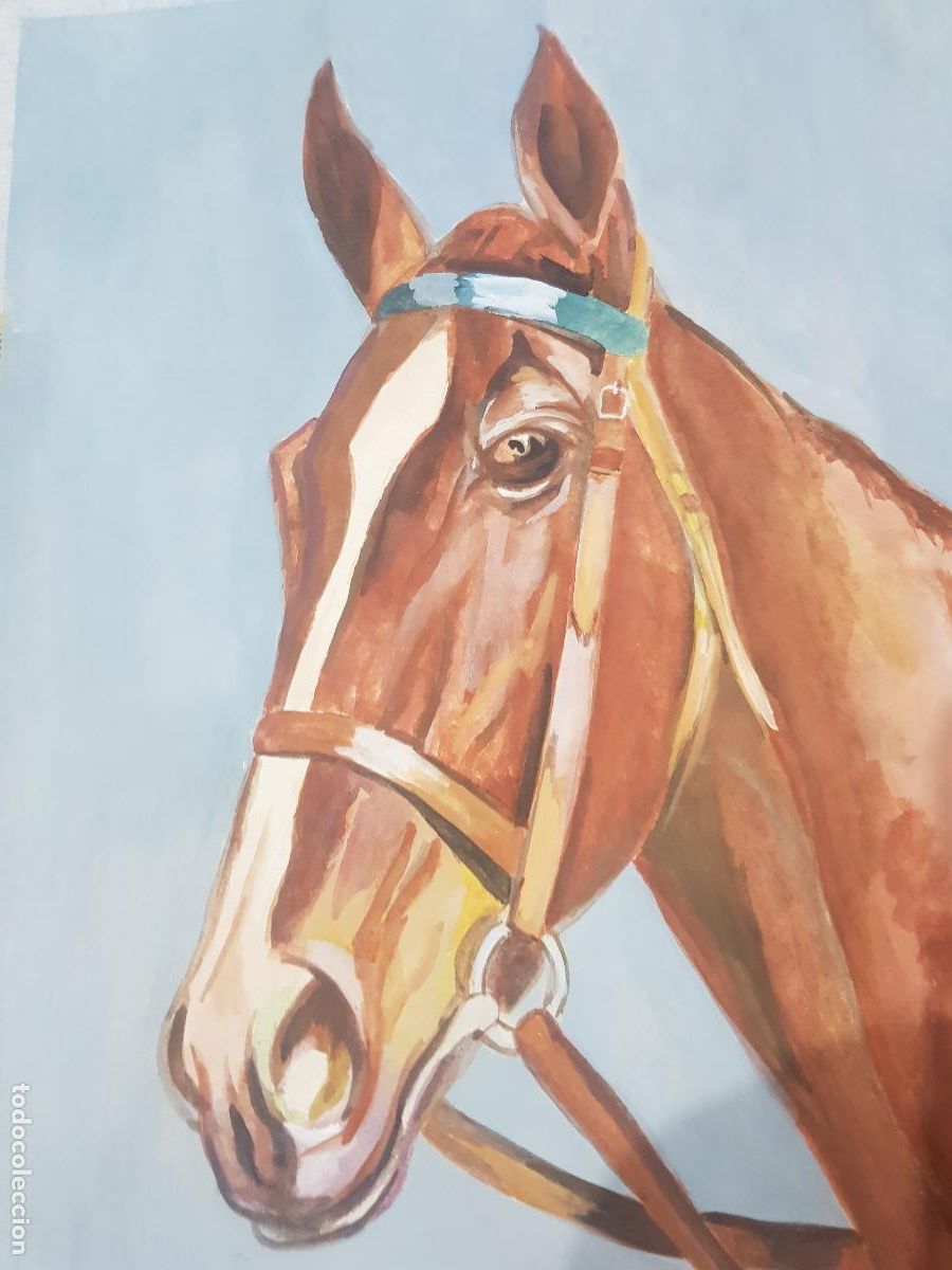 Arte: CABEZA DE CABALLO,DIBUJO ACUARELA MANUEL VICENTE MATA