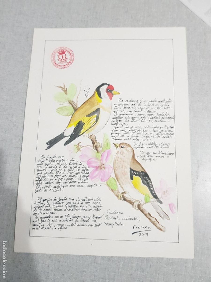 Arte: DIBUJO ORIGINAL DESCRIPTIVO DE TIPO DE PAJARO - Foto 1