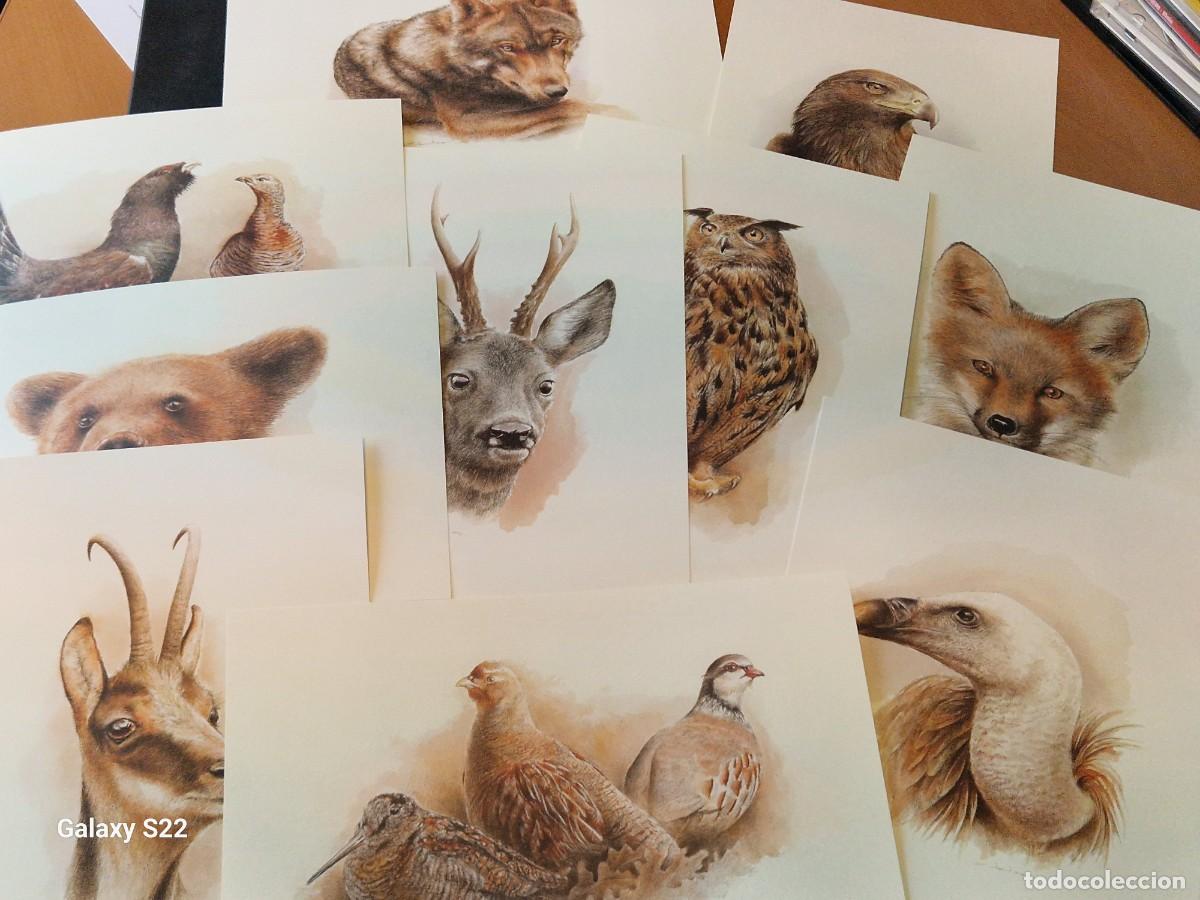 Arte: 10 Laminas &rdquo;Pelo y Pluma&rdquo; del artista Nacho Zubelzu