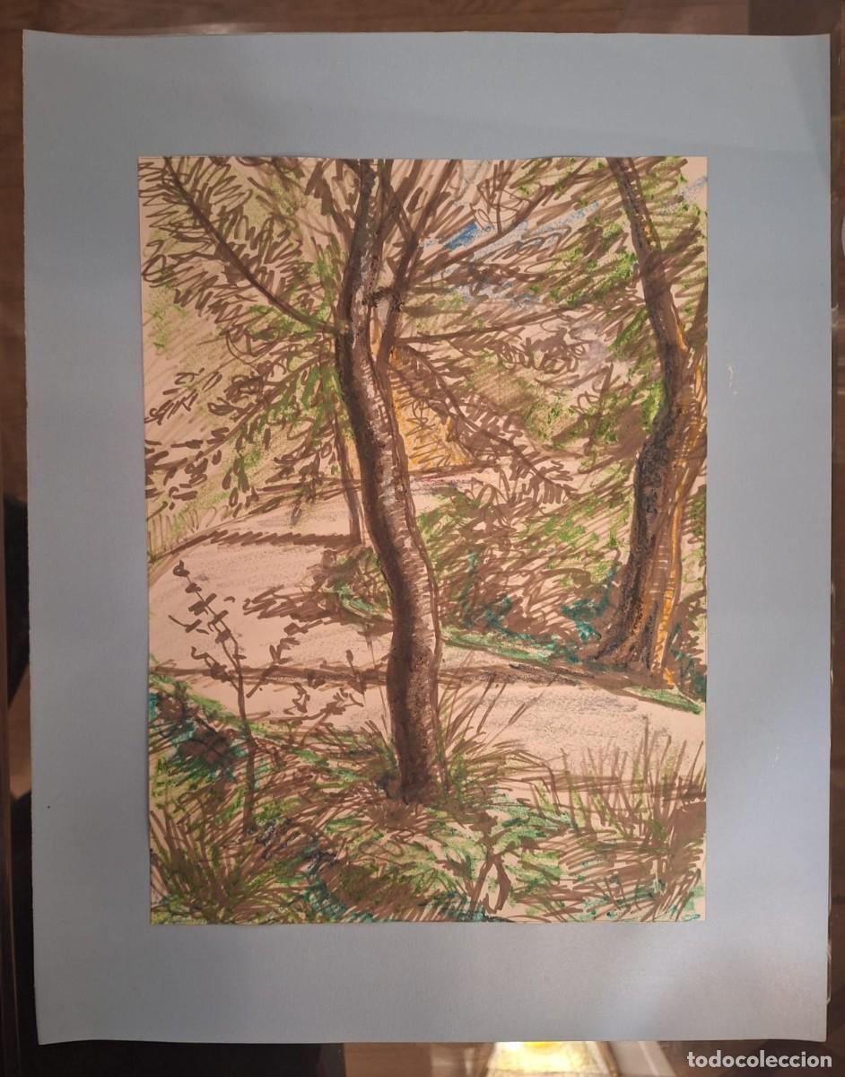 Arte: Sin t&iacute;tulo ---- Paisaje natural an&oacute;nimo